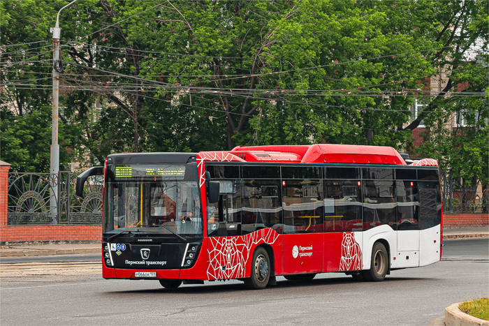 Автобусы и электробусы, фото 1