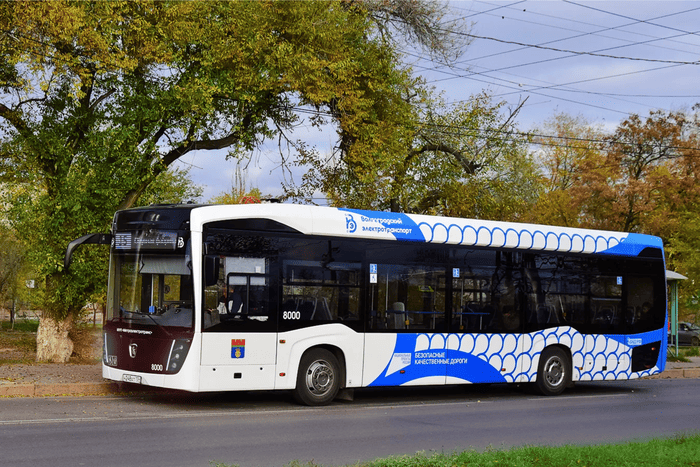 Автобусы и электробусы, фото 7