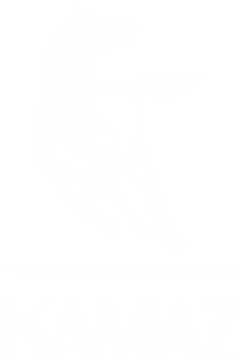 Логотип партнёра